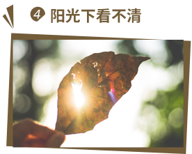 陽(yáng)光下看不清