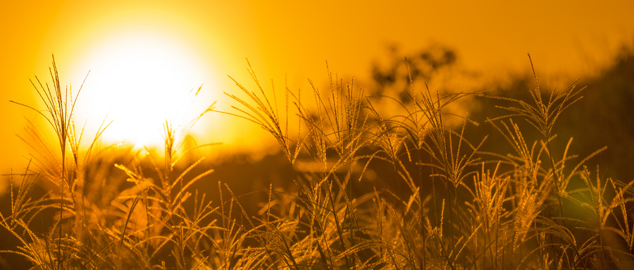 白內(nèi)障癥狀