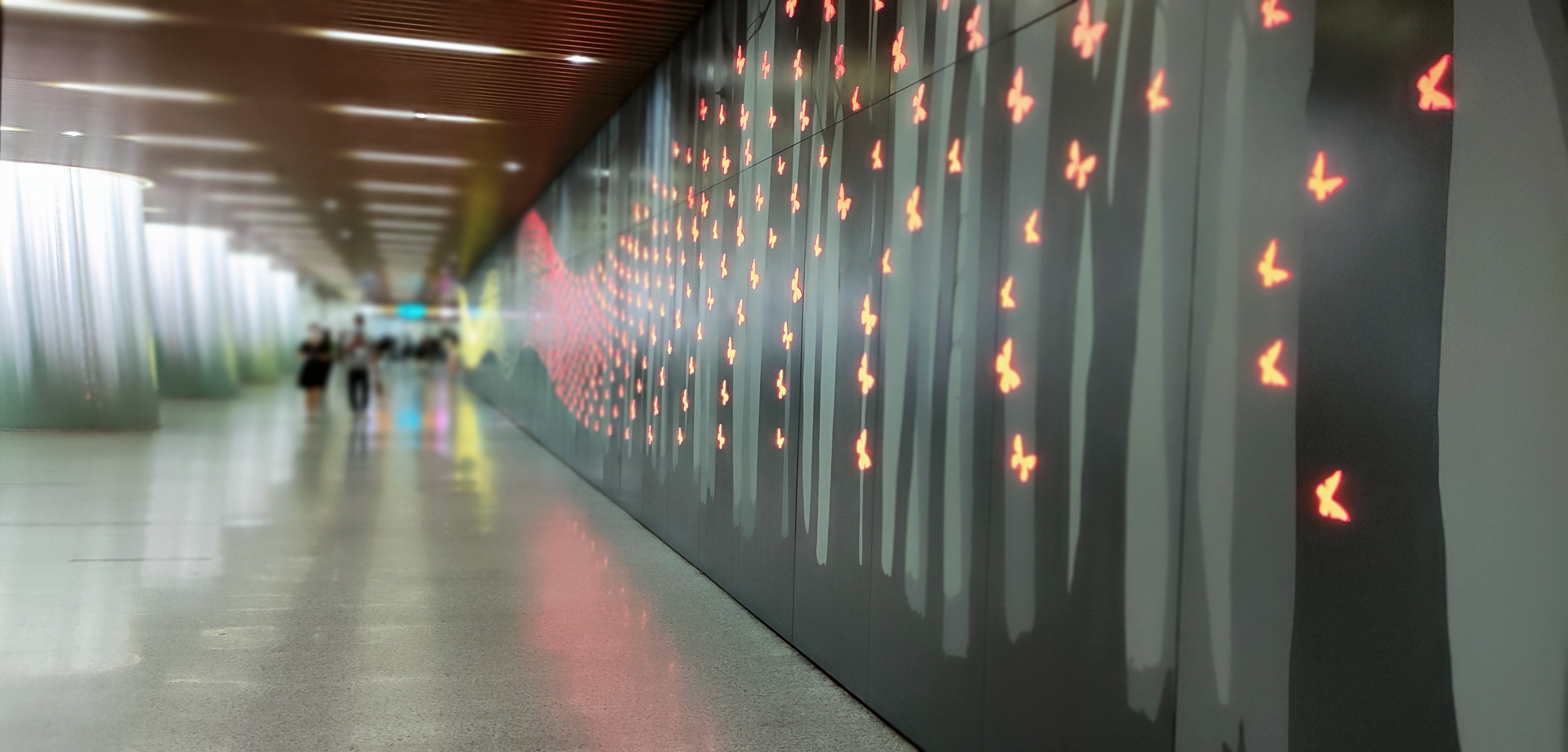 白坭鎮(zhèn)手術